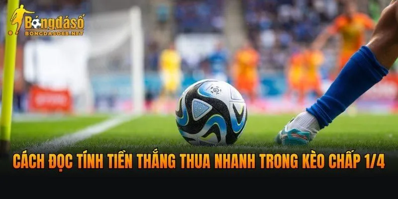 Cách đọc tính tiền thắng thua nhanh trong kèo chấp 1/4