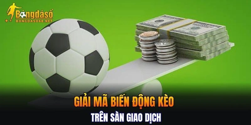 Giải mã biến động kèo trên sàn giao dịch cho người chơi mới