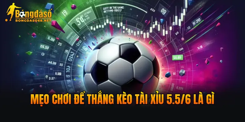 Mẹo chơi để thắng kèo tài xỉu 5.5/6 là gì
