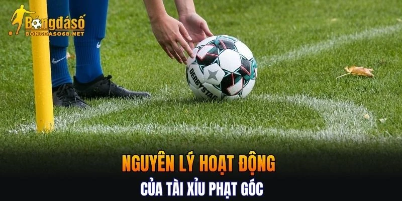 Nguyên lý hoạt động của Tài Xỉu phạt góc người chơi cần nắm vững