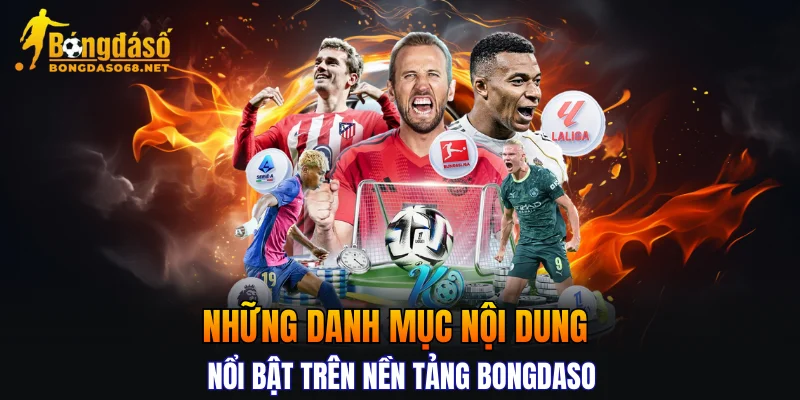 Những danh mục nội dung nổi bật trên nền tảng BONGDASO