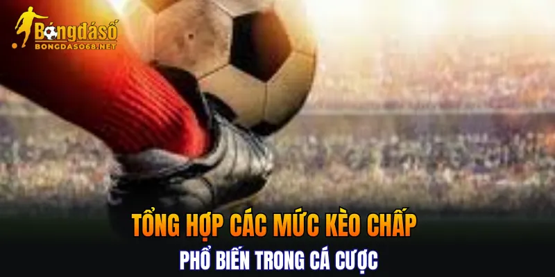 Tổng hợp các mức kèo chấp phổ biến trong cá cược