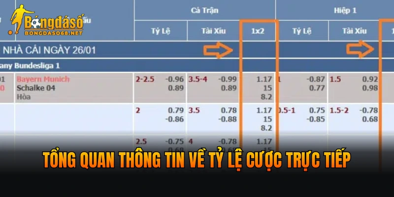Tổng quan thông tin về tỷ lệ cược trực tiếp